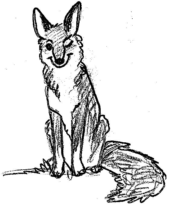 Winking Coyote